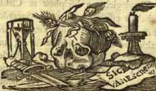 [Bl. 455r - 456v]P. Augustinus ... aus