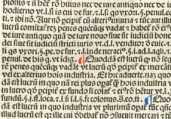 Figura din