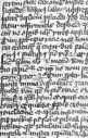 Textanfang mit Zierinitiale und Miniaturen
