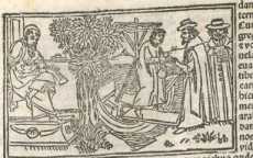 Figura din