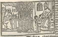 Figura din