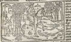 Figura din