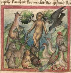 Miniatur:Die Versammlung der Tiere (Fuch...