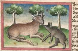Miniatur:Ochse und Schwein (#)
