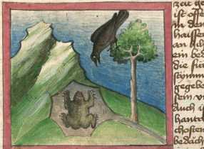 Miniatur:Rabe und Frosch (13)
