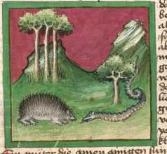 Miniatur: Natter und Igel (16)

