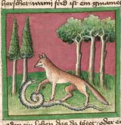 Miniatur:Fuchs und Schlange (19)
