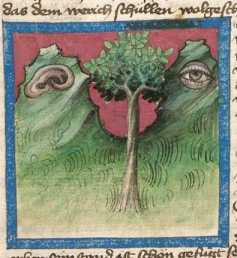 Miniatur:Baum, Auge und Ohr in Gebirgsla...