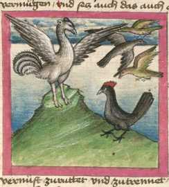 Miniatur:Vögel auf einem Berg: Strauß ...