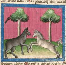 Miniatur:Pferd und Esel (26)
