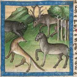 Miniatur:Hirsch, Fuchs, Bär und Hirschk...