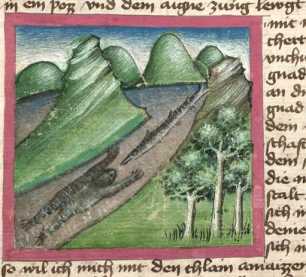 Miniatur:Frosch und Aal im Fluss  (#)
