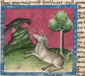 Miniatur:Rabe und (zerbrochenes) Einhorn...