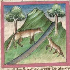 Miniatur:Fuchs und Wiesel (56)

