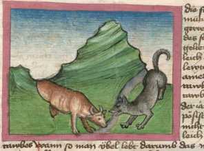 Miniatur:Ochse und Wolf (#)
