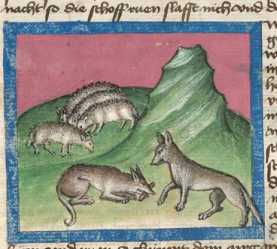 Miniatur:Wölfe und Schafe (#)
