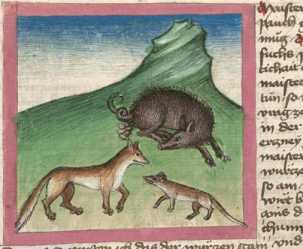 Miniatur:Fuchs, Schwein und Wiesel (#)
