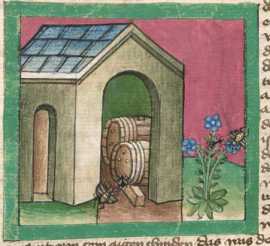 Miniatur:Insekten und Gebäude mit Fäss...