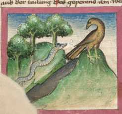 Miniatur:Schlange und Phönix (#)
