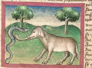 Miniatur:Schlange und Elefant (77)
