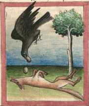 Miniatur:   Rabe und ... uit