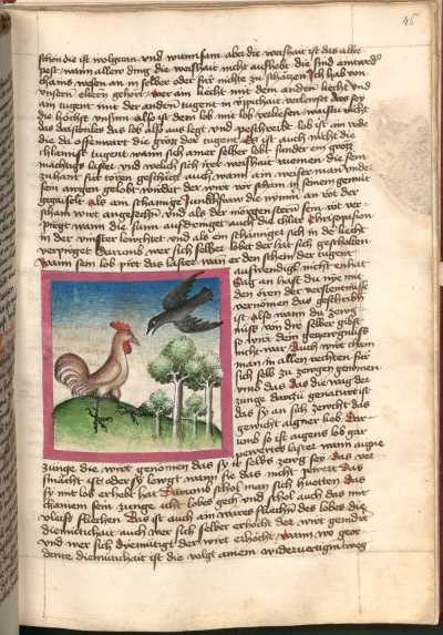 Miniatur: Hahn und Rabe da