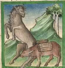 Miniatur:Pferd und Ochse (10)
