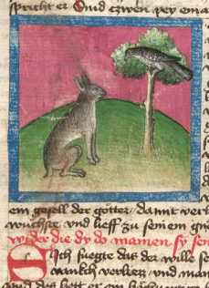 Miniatur:Hase und Sperling (28)
