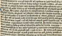 Figura din