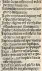 Figura din