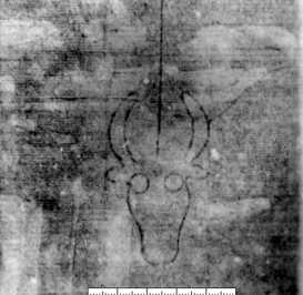 Ochsenkopf darüber sechsblättrige Blume ... din