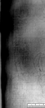 Ochsenkopf darüber siebenblättrige Blume ... uit