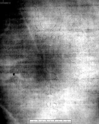 Holzschnitt: Ochsenkopf darunter fünfblättrige Blume ... aus