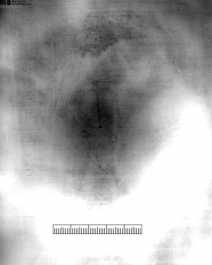 Ochsenkopf darüber Kreuz (?) uit