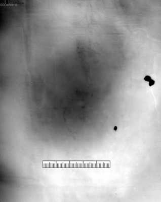 Ochsenkopf darüber Kreuz (?) uit