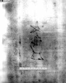 Hand darüber sechsblättrige Blume ... aus