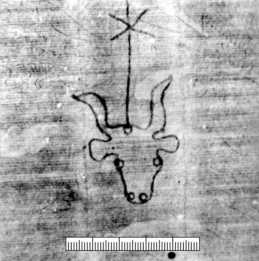 Ochsenkopf darüber sechsstrahliger Stern, Stange ... de