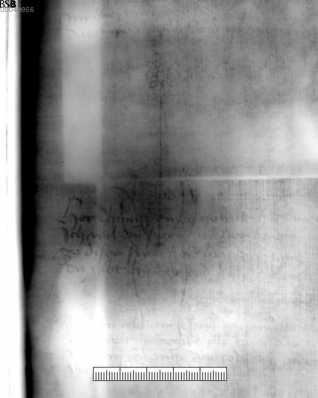 Ochsenkopf darüber Blume dans