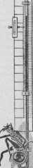 Nr. 89:04.05.1913 (i)
