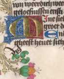 Zierinitiale M (#)
