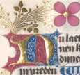 Zierinitiale N (#)
