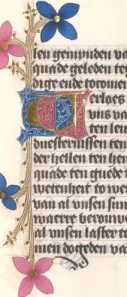 Zierinitiale U (114)
