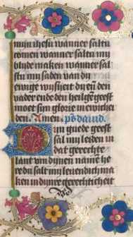 Zierinitiale D (141)
