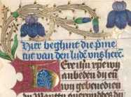 Zierinitialen H und O,  (215)
