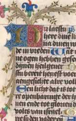 Zierinitiale N (246)
