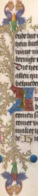 Zierinitiale T (254)
