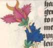 Zierinitiale D (#)
