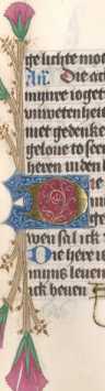 Zierinitiale D (276)
