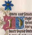 Zierinitiale N (#)
