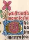 Zierinitiale G und T (329)
